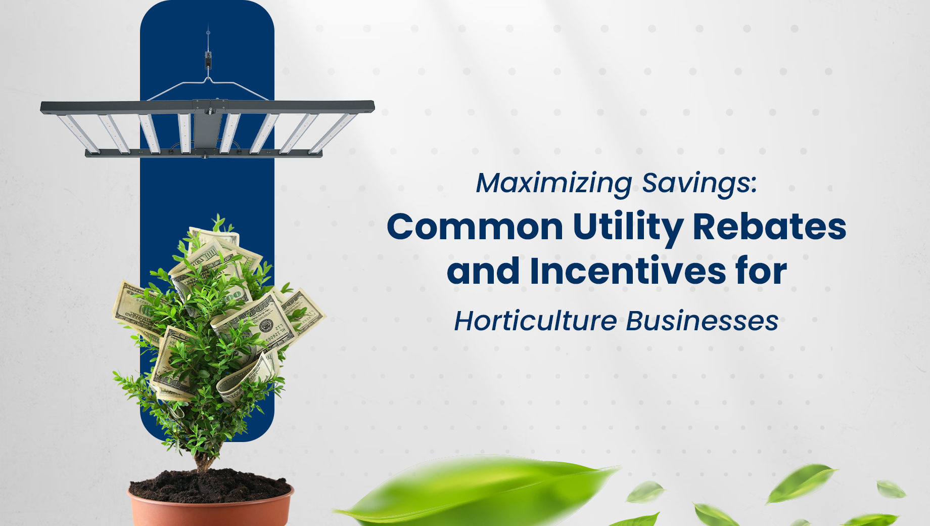 Maximizing Savings: Common Utility Rebates and Incentives for Horticulture Businesses