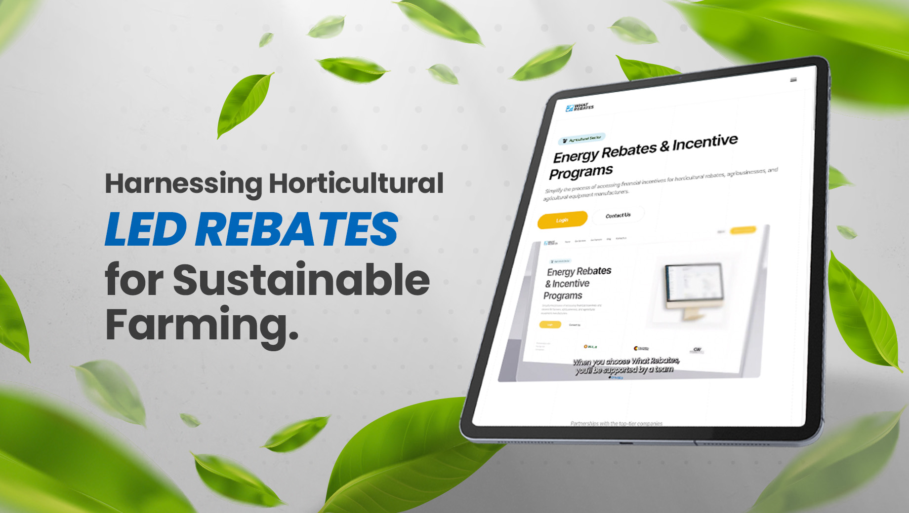 Harnessing Horticultural LED Rebates for Sustainable Farming