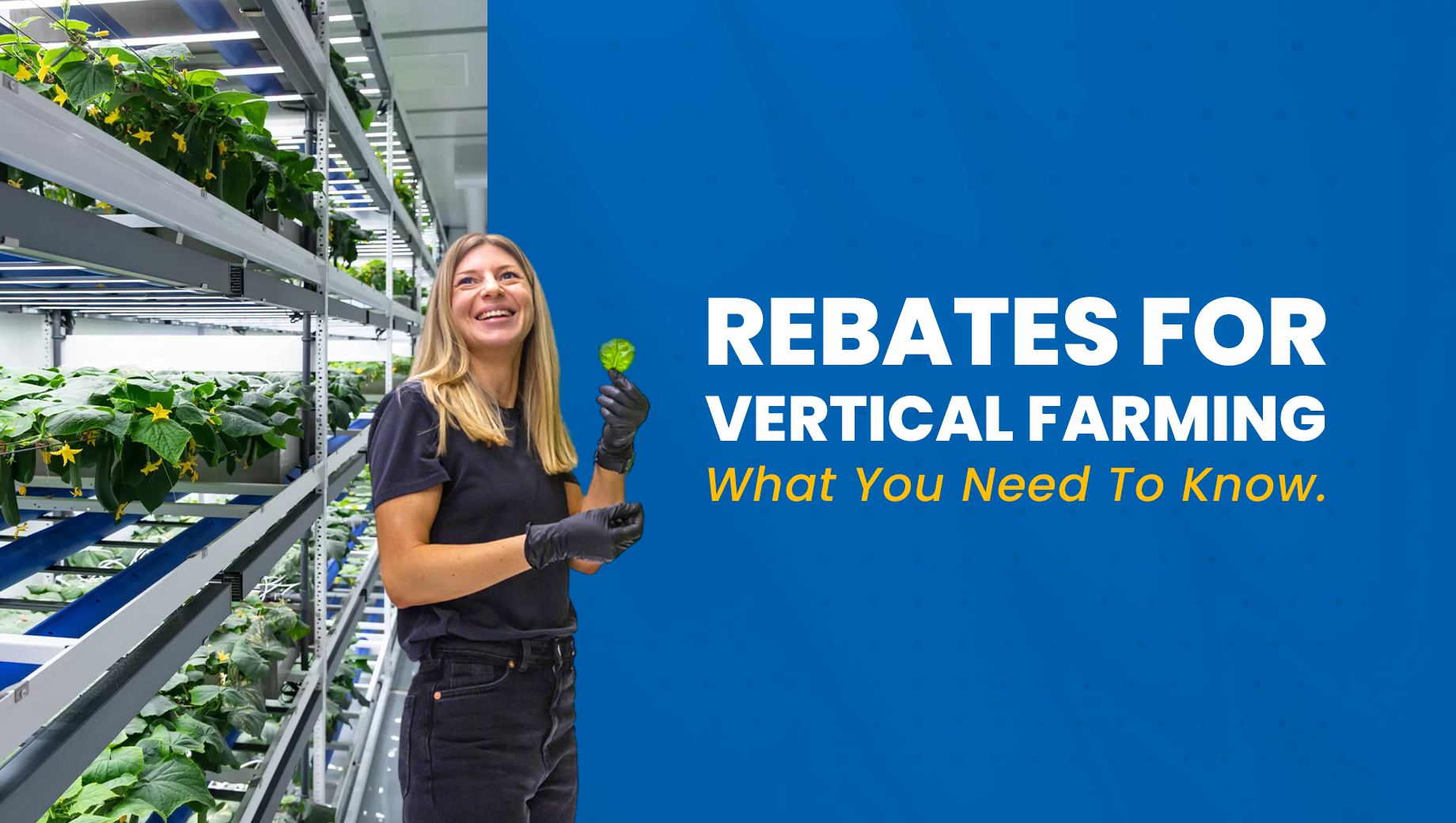 Rebates for Vertical Farming: What You Need to Know