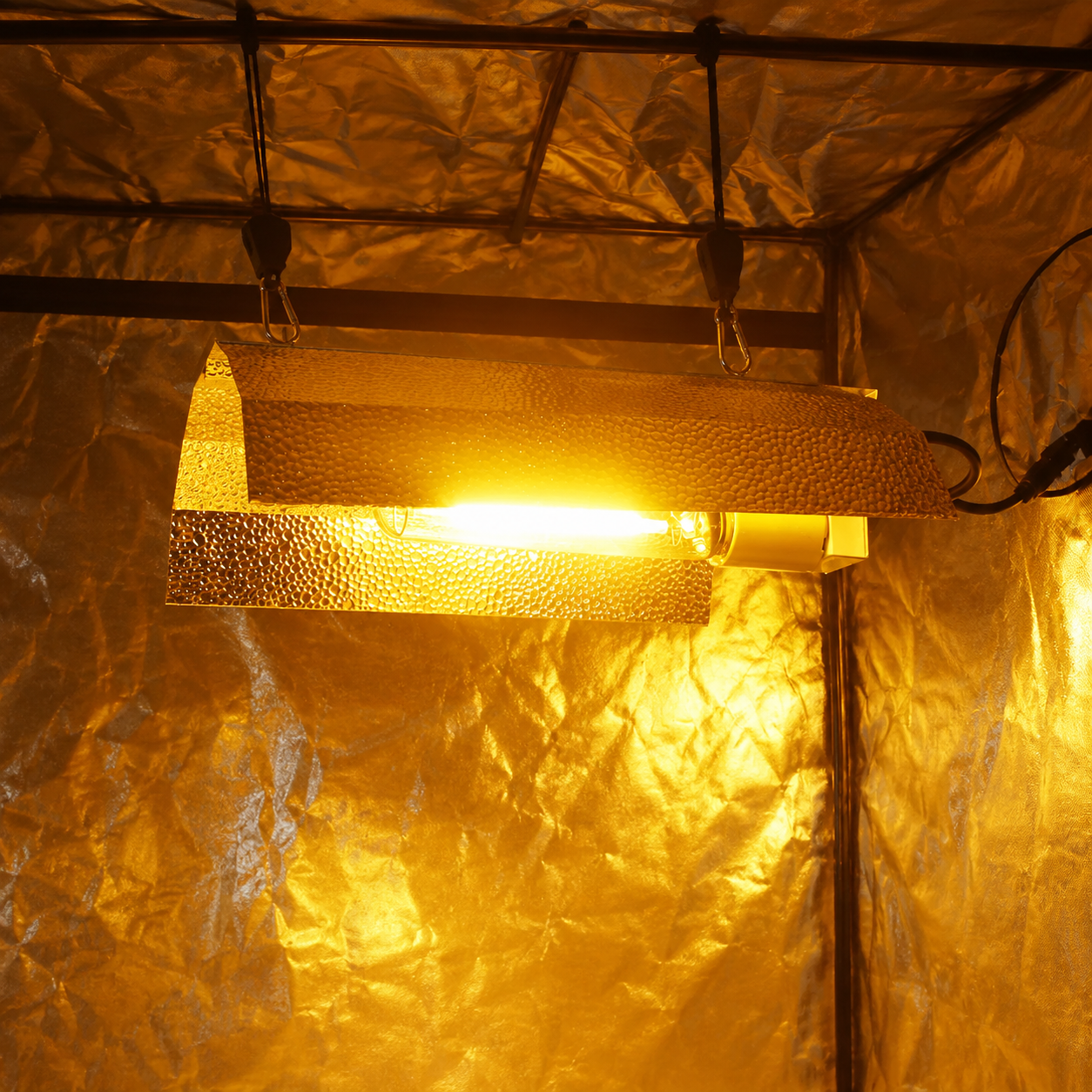 How to Plan an LED Grow Light Retrofit That Still Qualifies for a Rebate