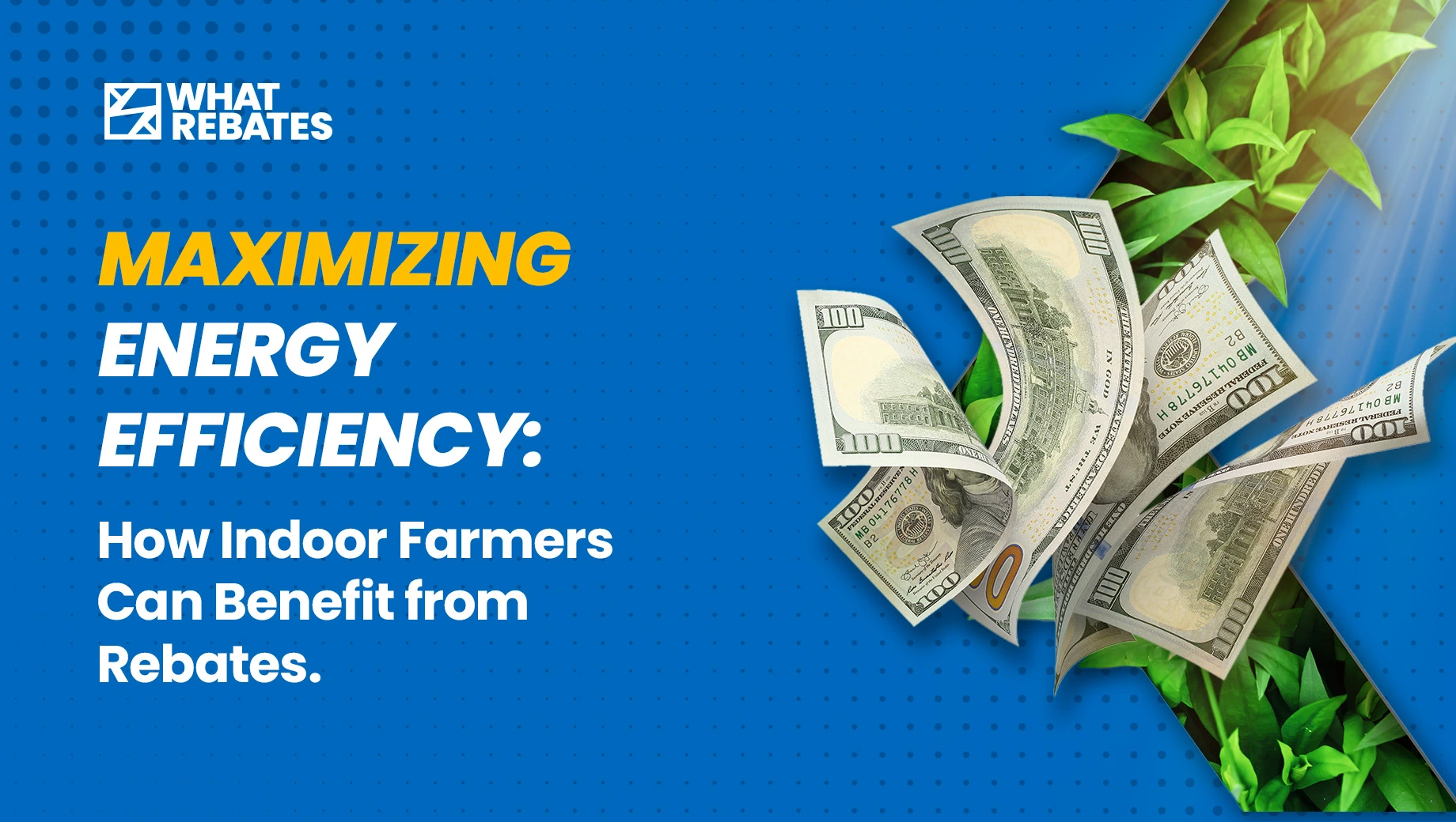 How Indoor Farmers Can Benefit from Rebates