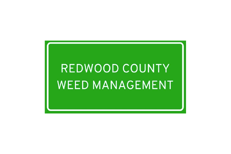 Redwood