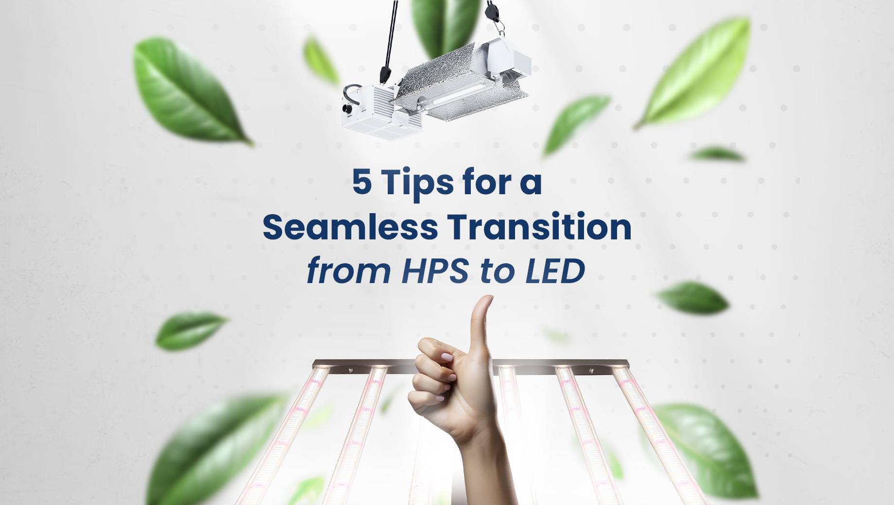 5 Tips for a Seamless Transition from HPS to LED