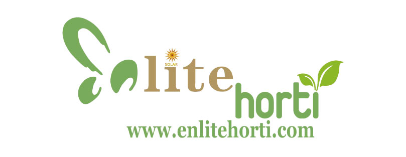 ENLITE Energy